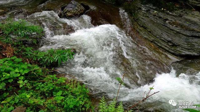用心珍藏冷知识,探索杭州气温冲至41.8℃,刷新有记录以来最高温极值,以后这会成为常态吗?平台